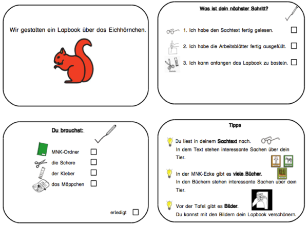 Lapbook Eichhörnchen