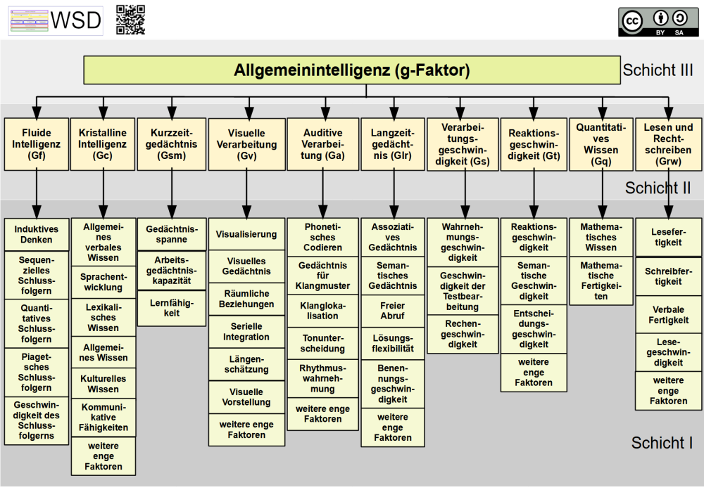 CHC-Modell nach Cattell, Horn und Carroll CHC-Modell nach Cattell, Horn und Carroll